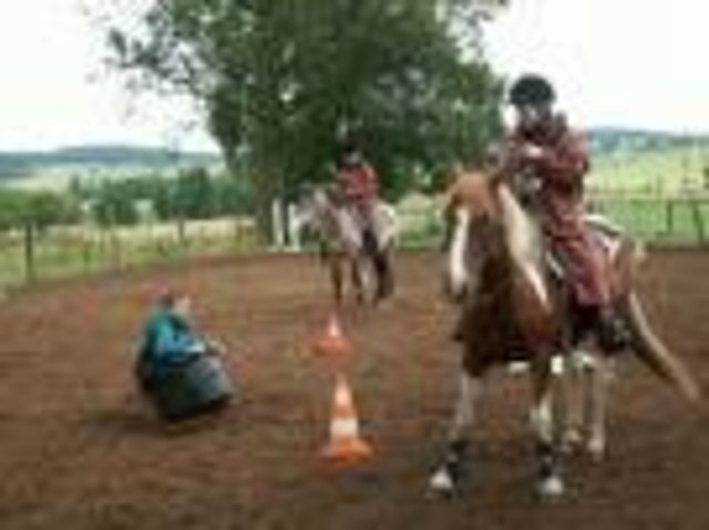 Westernreiten