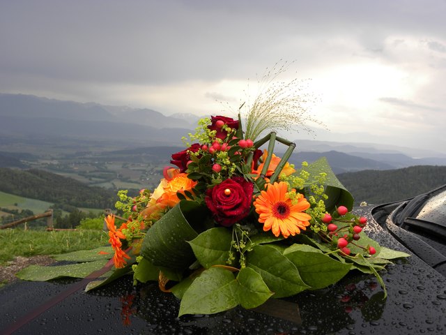 Blick über den Brautstrauß Richtung Klagenfurt