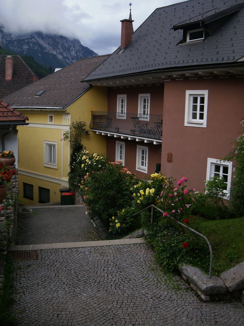 prächtige rosen auf der kirchenstiege