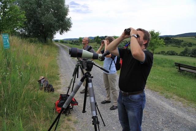 Bei den Bienenfressern | Foto: Klaus Michalek