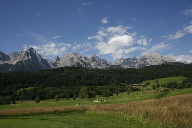 Wieviele Golfbälle sich wohl im Rough verstecken?