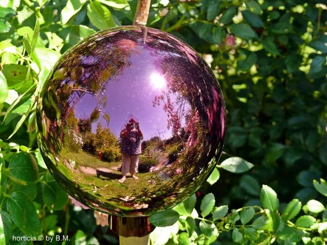 pink mirror
