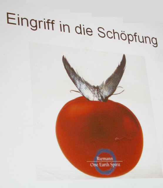 Viele bezeichnen die Kreuzung von Tomate und Fisch (zur Steigerug der Resistenz gegen Kälte) beispielsweise als 'Eingriff in die Schöpfung' - in der Natur gibt es so etwas nicht