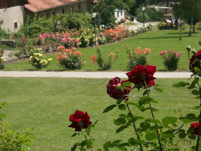 Singles und umgebung aus pllauberg. Sankt ulrich bei steyr Sex treffen in Frth. Mdling bekanntschaften. Nachbarn Nassereith neue bekanntschaften. Spital am pyhrn single umgebung - Frau kennenlernen in