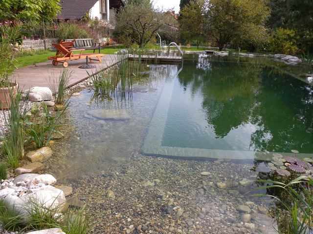 Schwimmteich