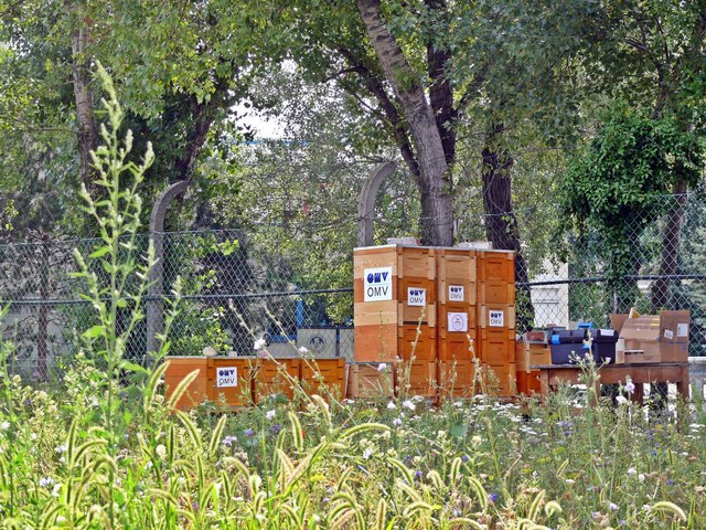 Die Bienenzucht auf dem OMV-Gelände in Mannswörth.