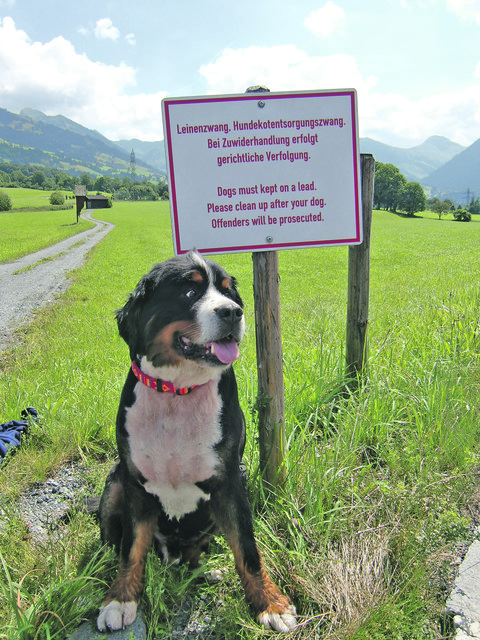 Leinenzwang gilt an vielen Orten.