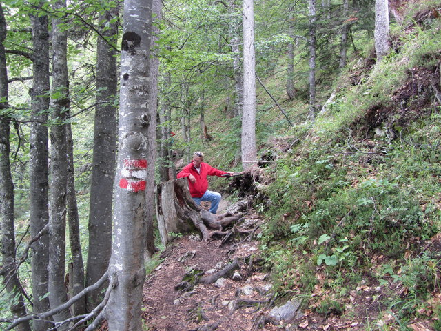 runter gings auf dem Steig..mit vielen Baumwuzeln..aber lustig