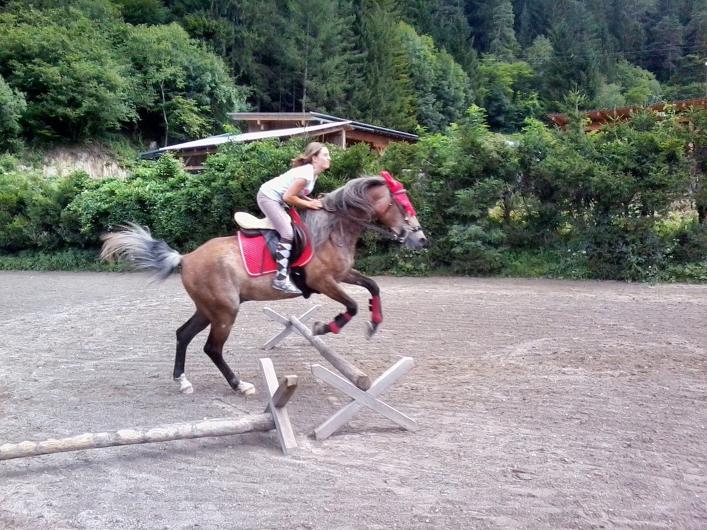 Springen Mit Kappzaum Spittal