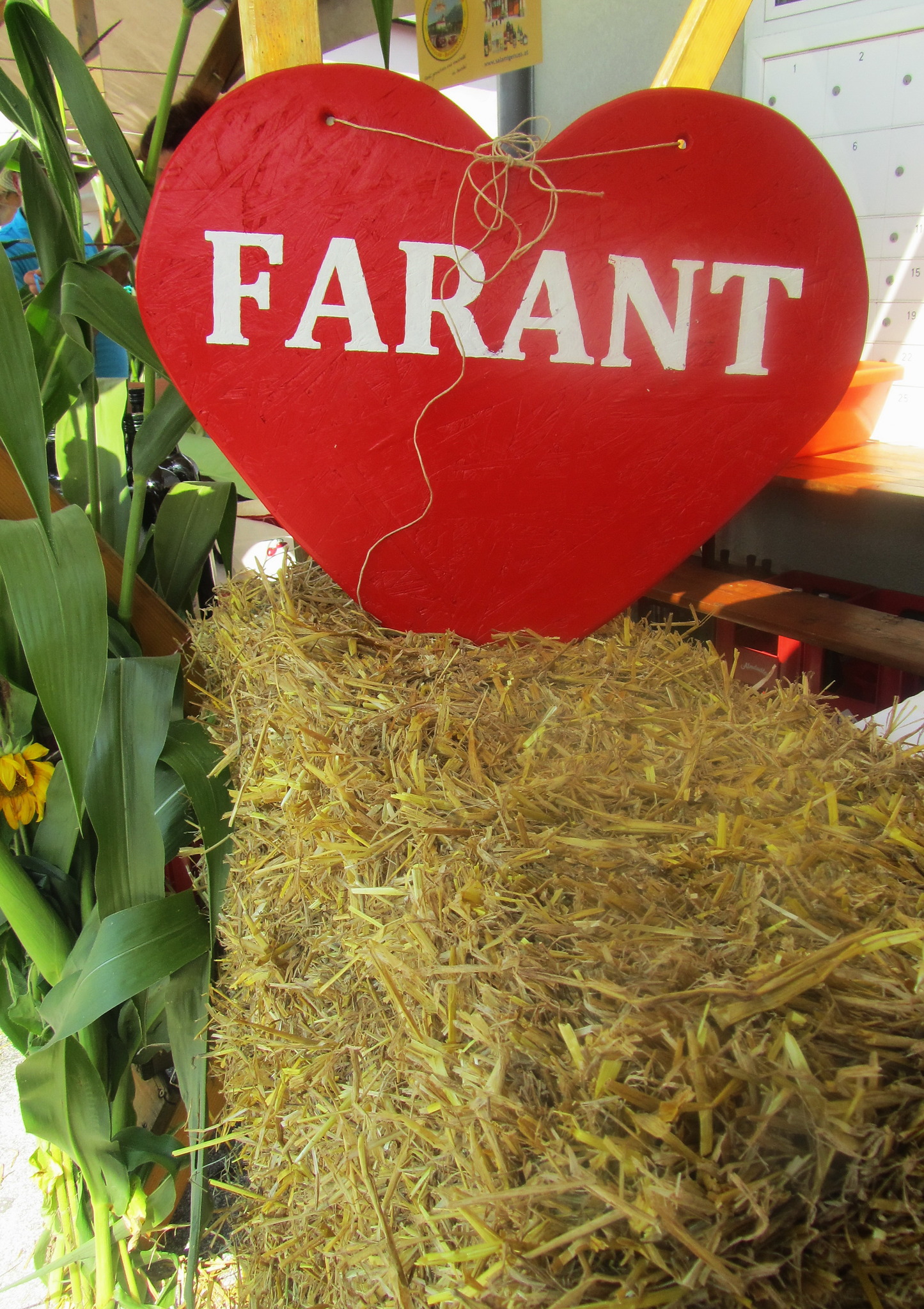 FARANT- FEST - Völkermarkt