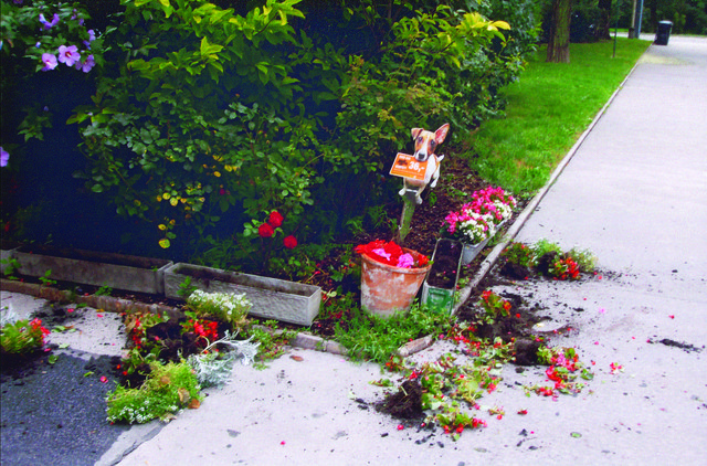 Ausgerissene Blumen und zerstörte Blumenkisterln schockten die Grätzelbewohner. | Foto: Leopold Dohnal