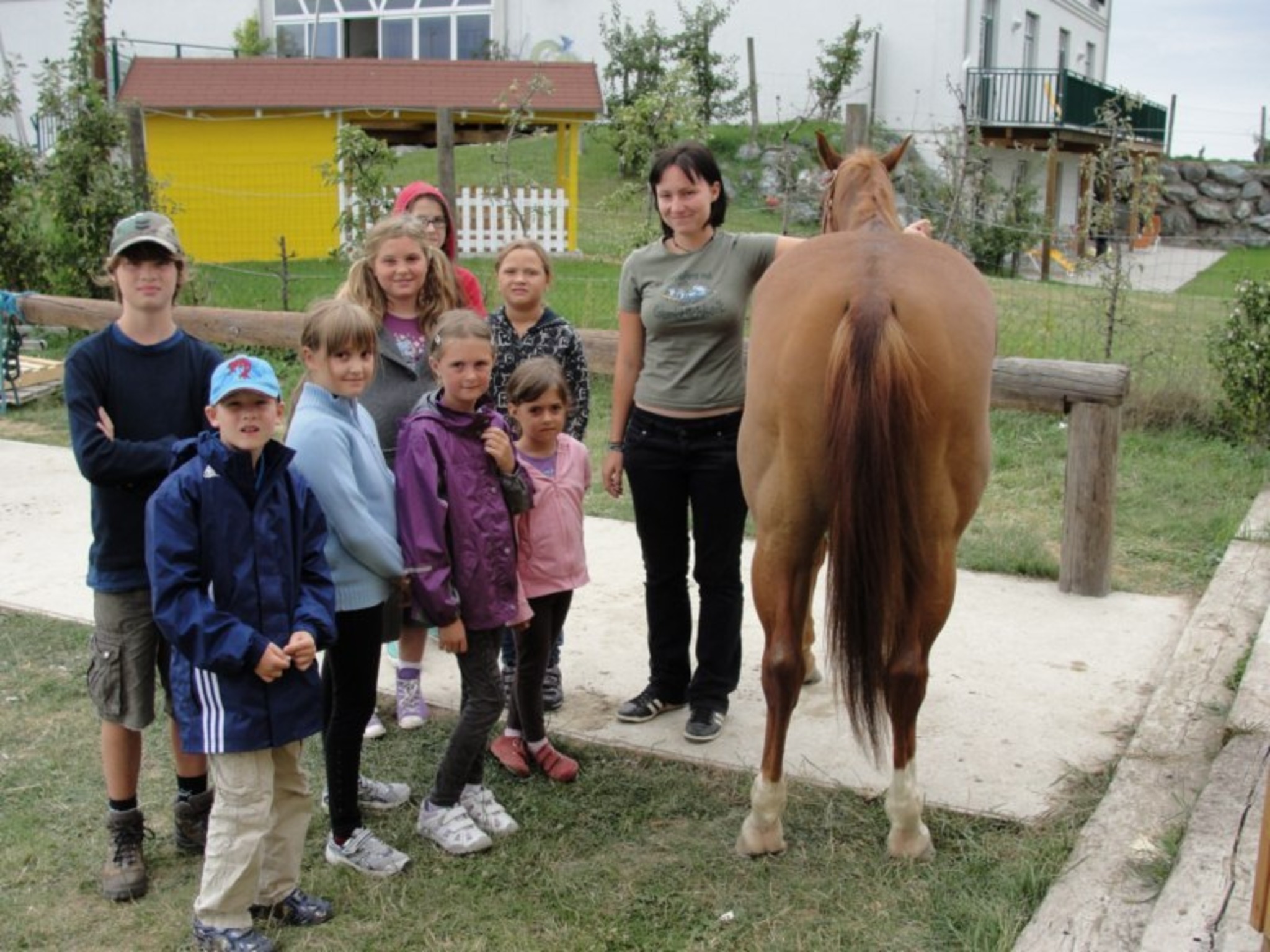 Fremdes pferd kennenlernen