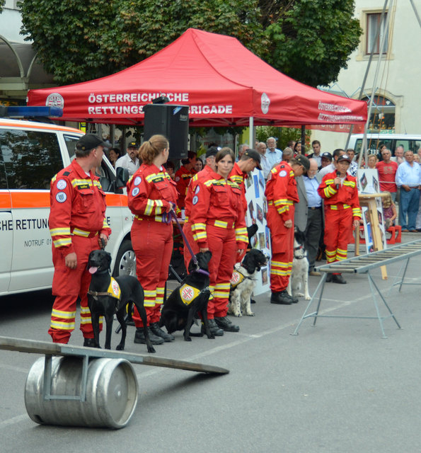 Vorführungen der Rettungshundebrigade und der Hundewasserrettung bei der langen Einkaufsnacht in Korneuburg