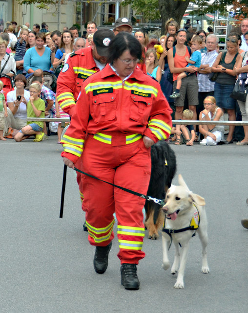 Vorführungen der Rettungshundebrigade und der Hundewasserrettung bei der langen Einkaufsnacht in Korneuburg
