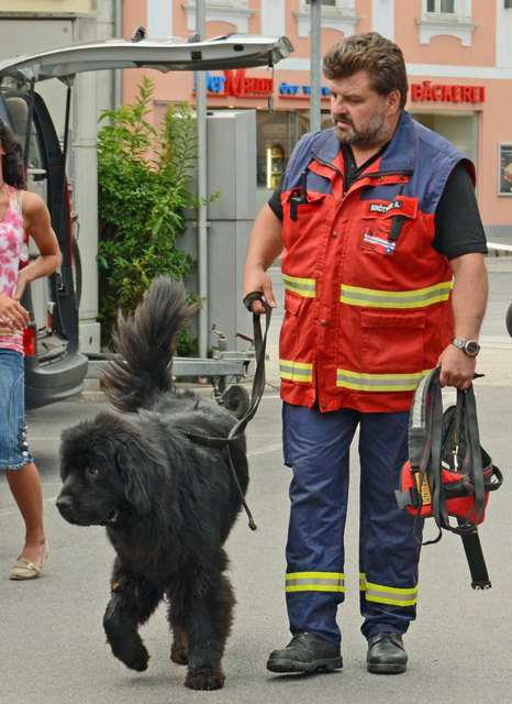 Vorführungen der Rettungshundebrigade und der Hundewasserrettung bei der langen Einkaufsnacht in Korneuburg