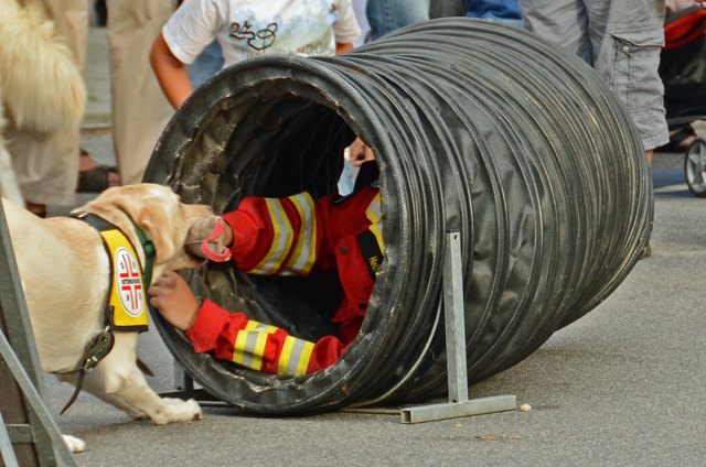 Vorführungen der Rettungshundebrigade und der Hundewasserrettung bei der langen Einkaufsnacht in Korneuburg