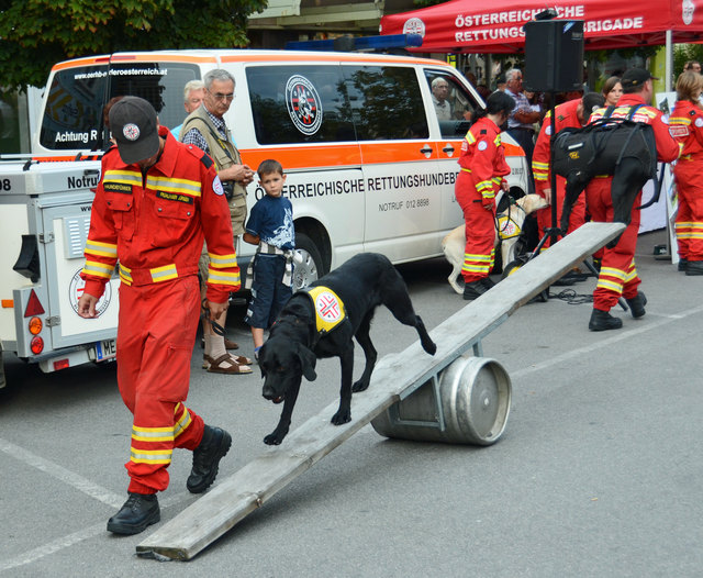 Vorführungen der Rettungshundebrigade und der Hundewasserrettung bei der langen Einkaufsnacht in Korneuburg