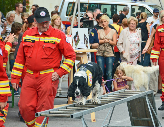Vorführungen der Rettungshundebrigade und der Hundewasserrettung bei der langen Einkaufsnacht in Korneuburg