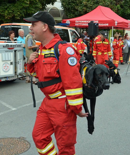 Vorführungen der Rettungshundebrigade und der Hundewasserrettung bei der langen Einkaufsnacht in Korneuburg