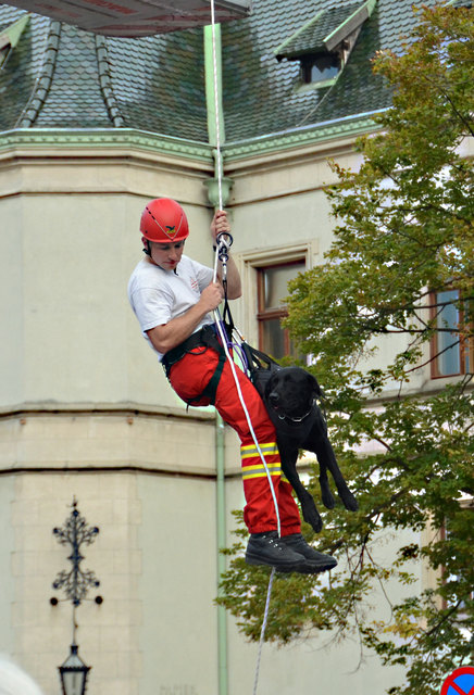 Vorführungen der Rettungshundebrigade und der Hundewasserrettung bei der langen Einkaufsnacht in Korneuburg