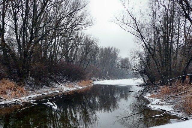 In die Landschaft der Donauinsel wurde auch ein Donaualtarm mit einbezogen, der 'Tote Grund' bleibt als Naturschutzgebiet in der ursprünglichen Au-Form erhalten