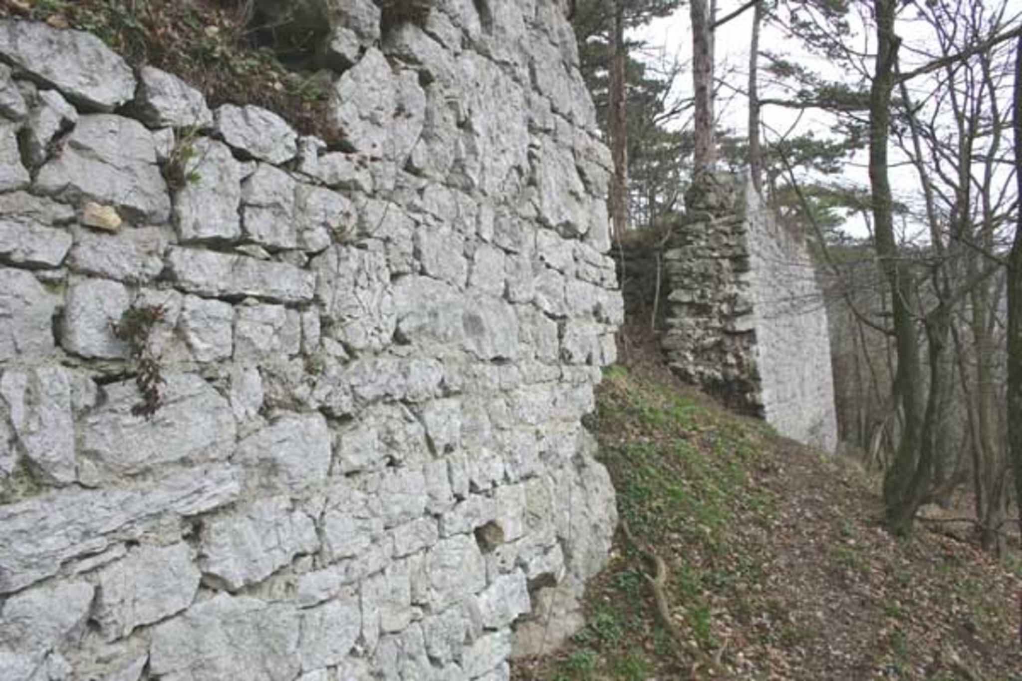 Ruine Scharfeneck Baden