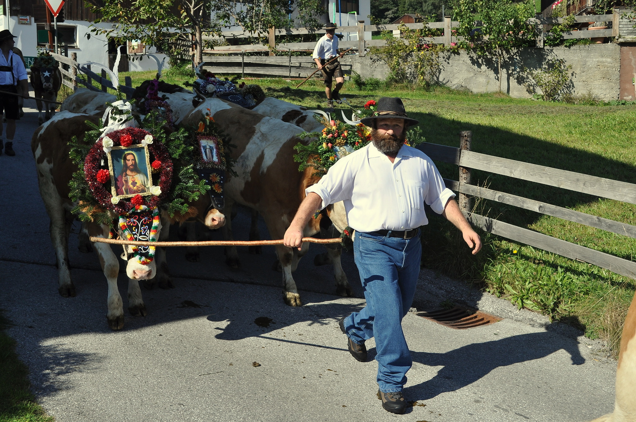 Almabtrieb im Zilllertal bedeutet auch harte Arbeit für die Almerer