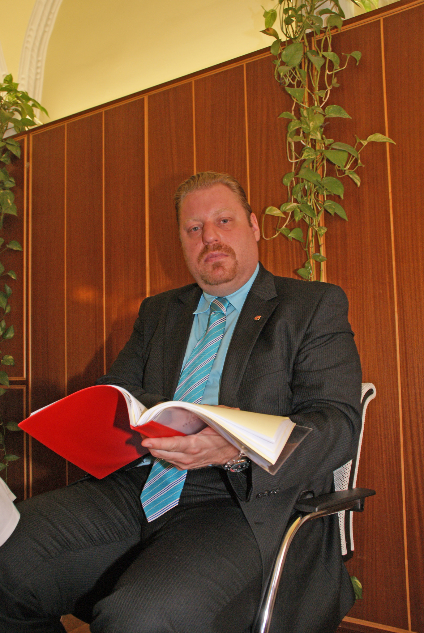 Single wohnungen wiener neustadt
