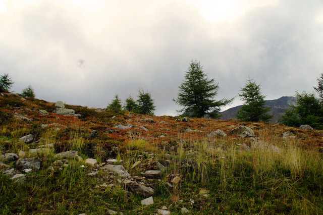 Europa Panoramaweg - Matrei - Goldried!