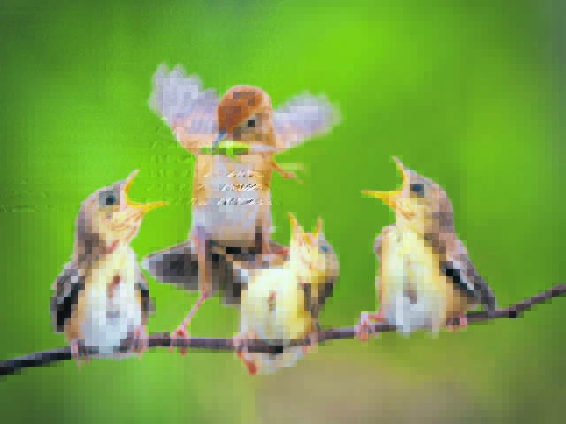 Aus den besten Dias der Welt: „Mama kommt“ von Iwan Tirtha aus Indonesien | Foto: Trierenberg