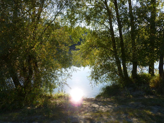 Spätsommerliche Abendstimmung auf der Donauinsel.
