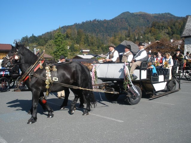 der Festumzug mit den Norikern begeisterte das Publikum.