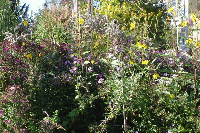 Im Garten meiner Schwester