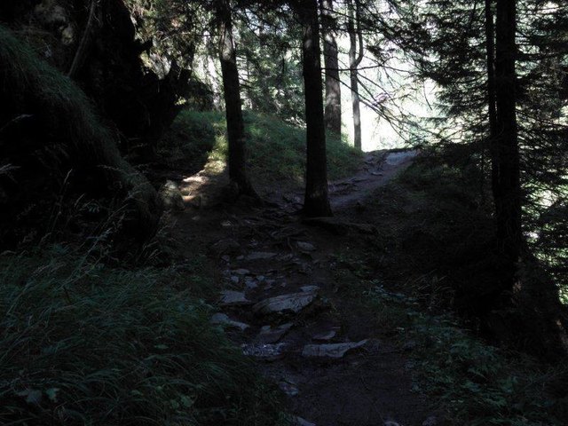 Romantischer Wanderweg zum Kachlmoor und Gößnitzfall