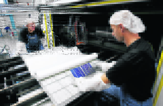 Fotovoltaik boomt: Grüne Technologien wachsen.