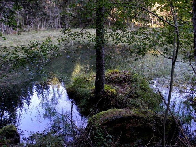 Kachelmoor am Naturlehrpfad Natura Mystica