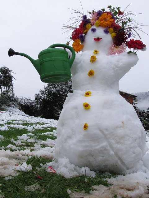 Mein erster Schneemann, den ich mit frischen Blumen aus dem Garten schmücken konnte!