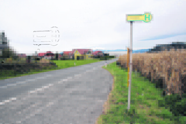 Bushaltestelle Traundorf: Wer zum Bus will, muss die Bleiburger Landesstraße überqueren. Ein gefährliches Unterfangen ...