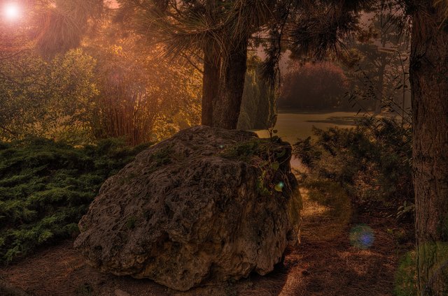 märchenhafter Heiligenstädter Park