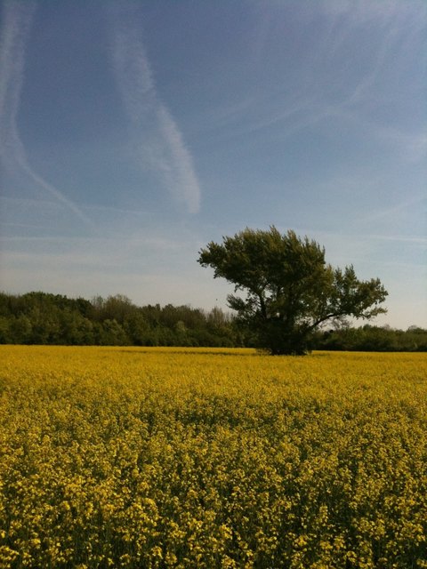 Naturparadies Essling