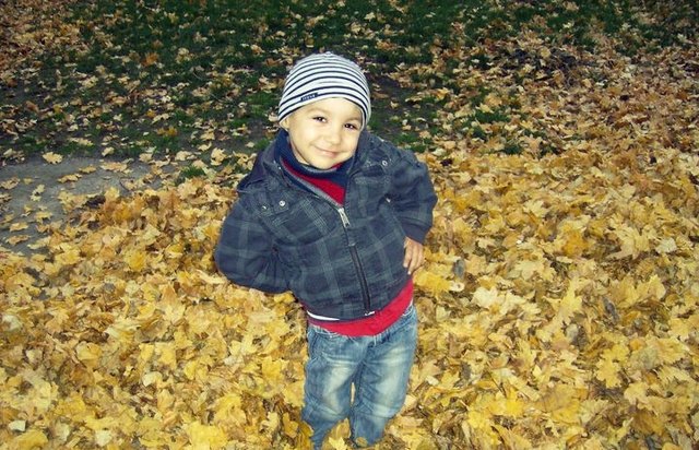 "Ruven im Blättermeer"