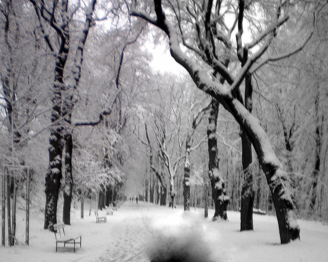 17. Bezirk im Winter - einfach wunderschön