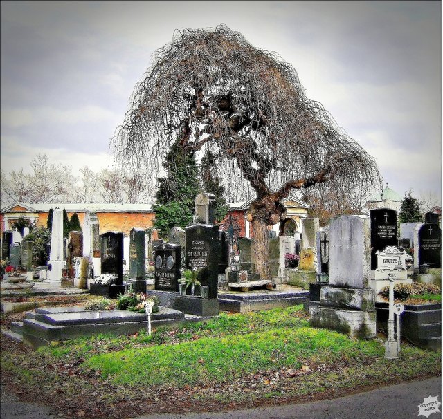 Melancholische Besuche