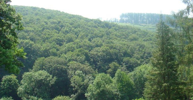 14. Bezirk Penzing - der wunderschöne Wienerwald