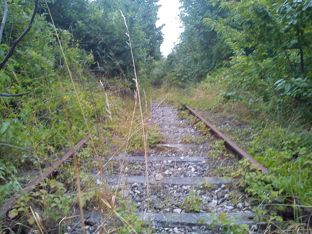 Und sowas befindet sich mitten in Liesing !!! Natur Pur