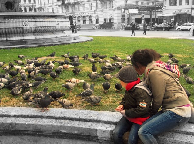 "Etwas Farbe mitten im herbstlichen Wien"