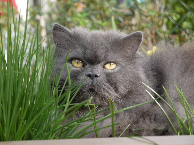 "mein wien...mein lieblingsplatz