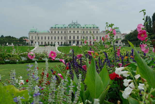 Blütenpracht vorm Belvedere