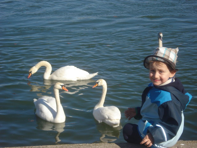 "BRIGITTENAU-MEIN BEZIRK!"Danijel.M.5 Jahre alt!!!!