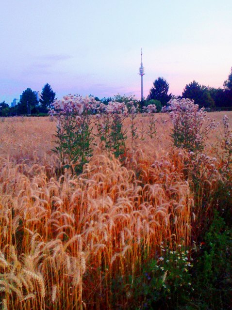 Manchmal ist Wien doch wahrlich ein Dorf